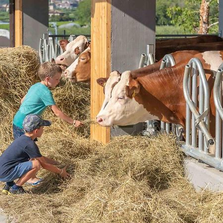 Camping Agrisalus Арко Екстер'єр фото