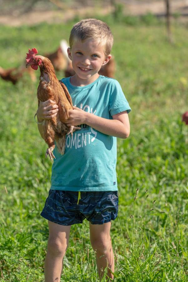 Camping Agrisalus Арко Екстер'єр фото