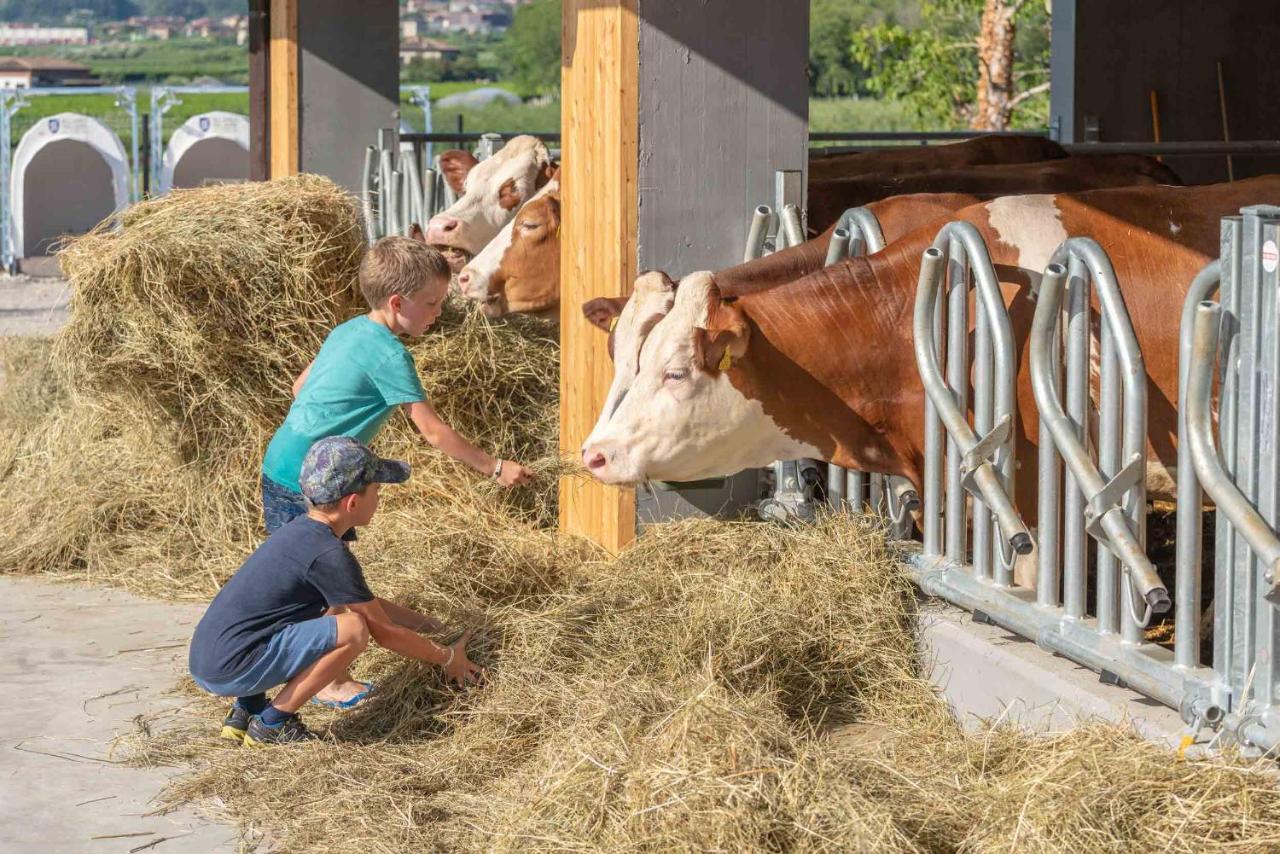 Camping Agrisalus Арко Екстер'єр фото