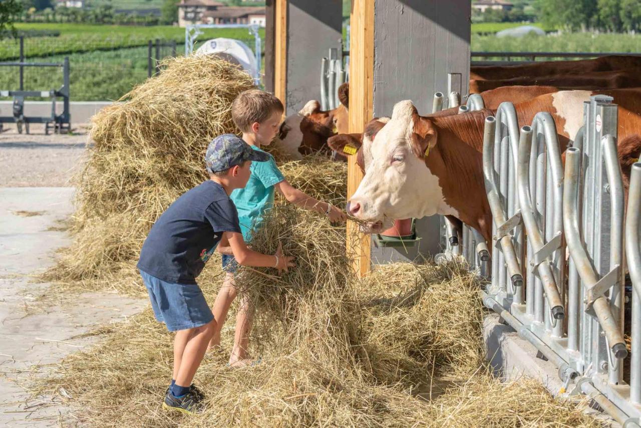 Camping Agrisalus Арко Екстер'єр фото